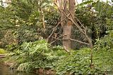 leipzig zoo-01_07_2011_gondwanaland_083